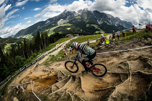 Intense Factory Racing at Fort Bill & Leogang